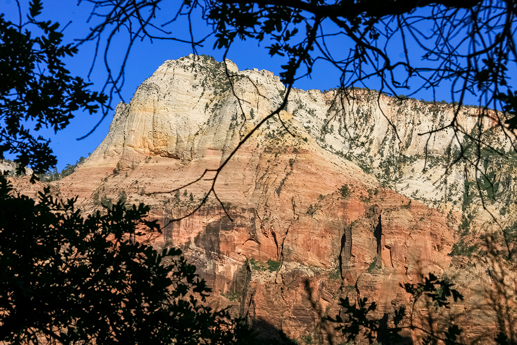 06-22 - 07.JPG - Zion National Park, AZ